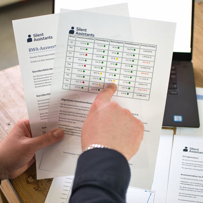 BWA-Auswertung inkl. interaktivem Dashboard