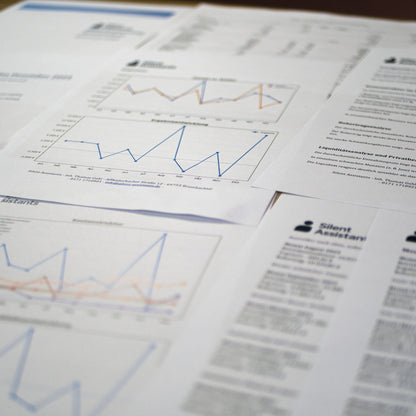 BWA-Auswertung inkl. interaktivem Dashboard