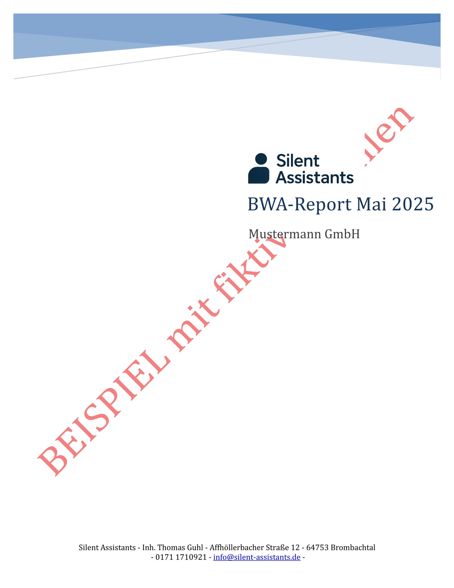 Business Snapshot - Monatlicher Überblick über Ihre BWA-Zahlen.