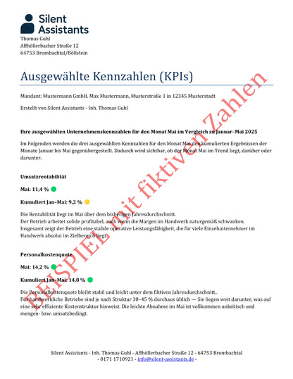 Business Snapshot - Monatlicher Überblick über Ihre BWA-Zahlen.